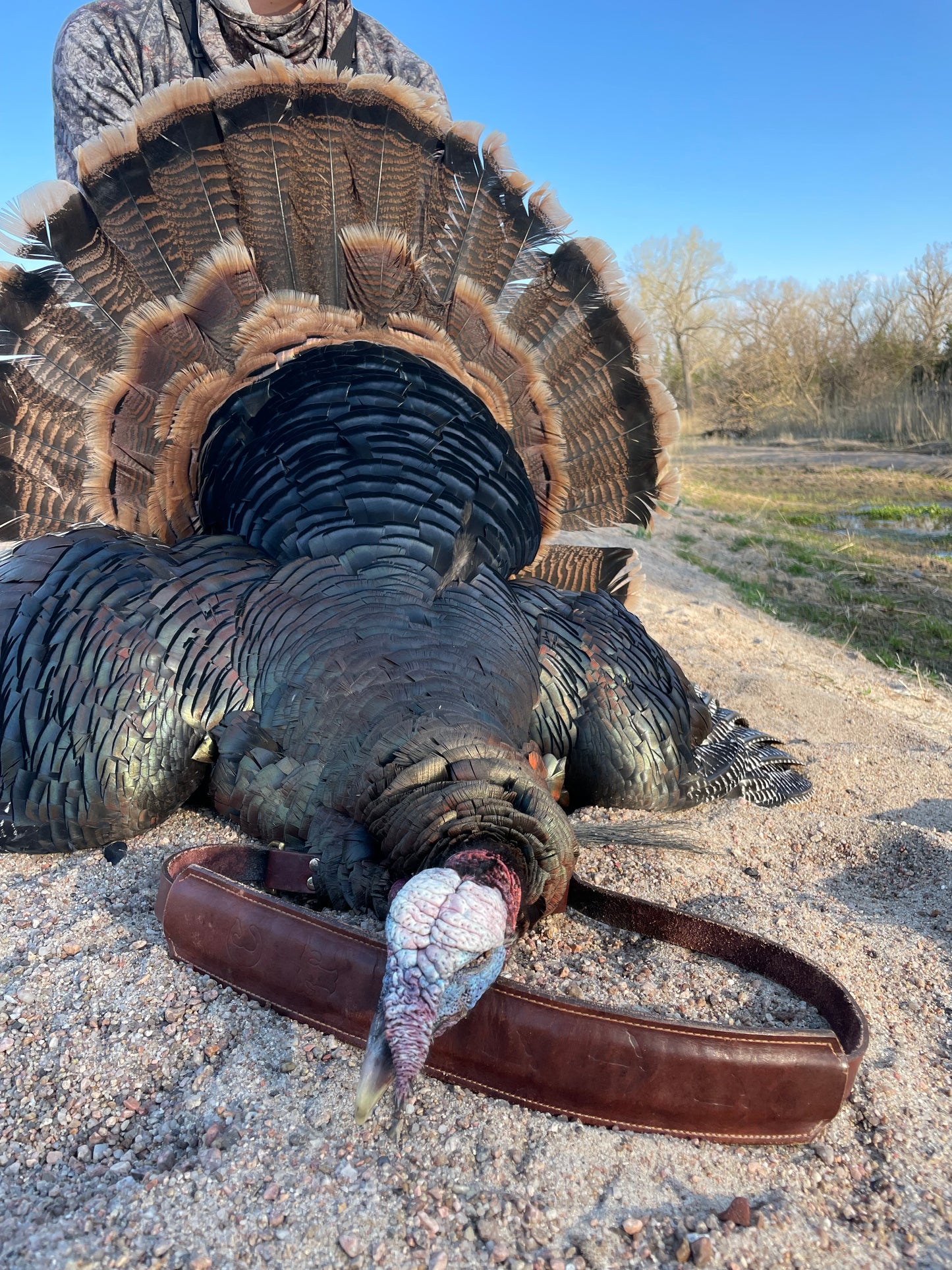Turkey Tote